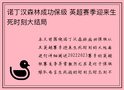 诺丁汉森林成功保级 英超赛季迎来生死时刻大结局 诺丁汉森林成功保级 英超赛季迎来生死时刻大结局